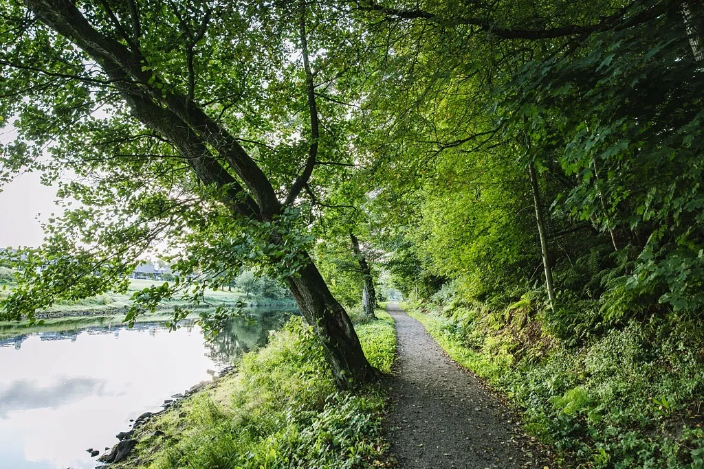 Promenadstig längs en å.
